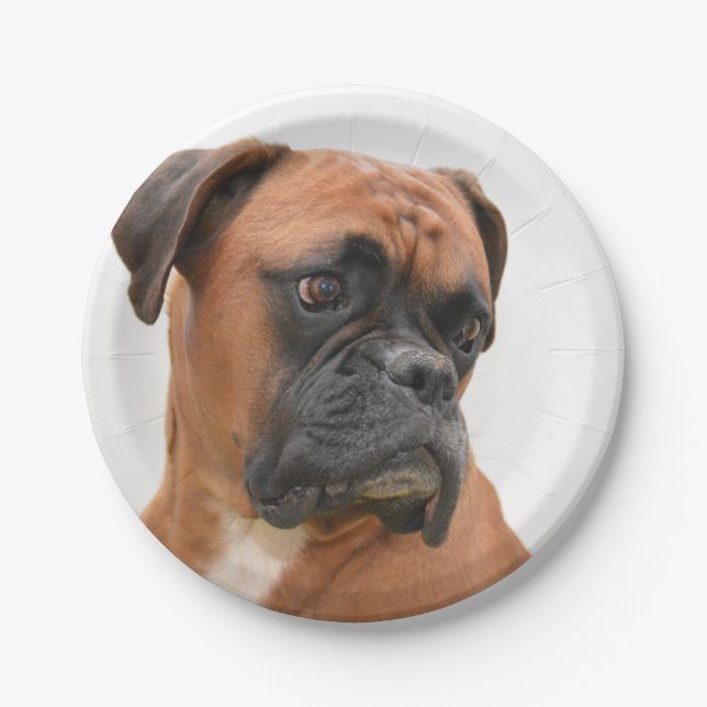 boxer paper plates (Front)