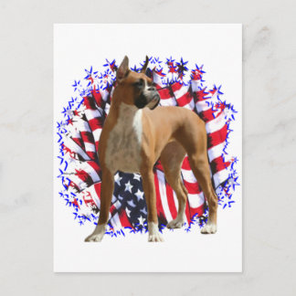 Boxer Patriot Postcard
