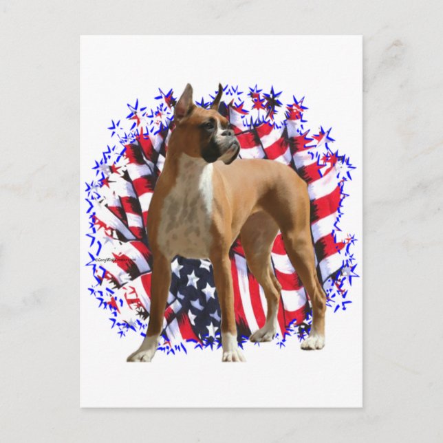 Boxer Patriot Postcard (Front)