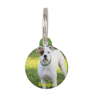 Boxer Pet ID Tag