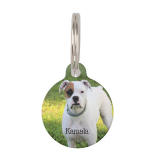Boxer Pet ID Tag