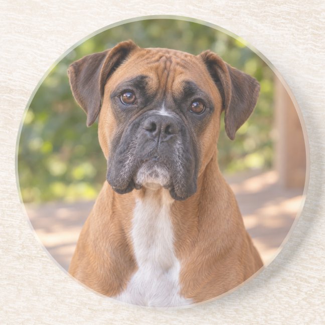 Boxer Porch Portrait Sandstone Coaster