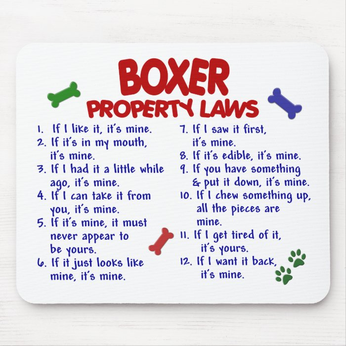 boxer property venders list