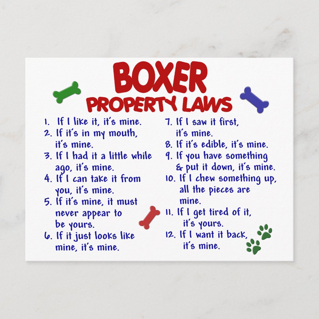 boxer property contact
