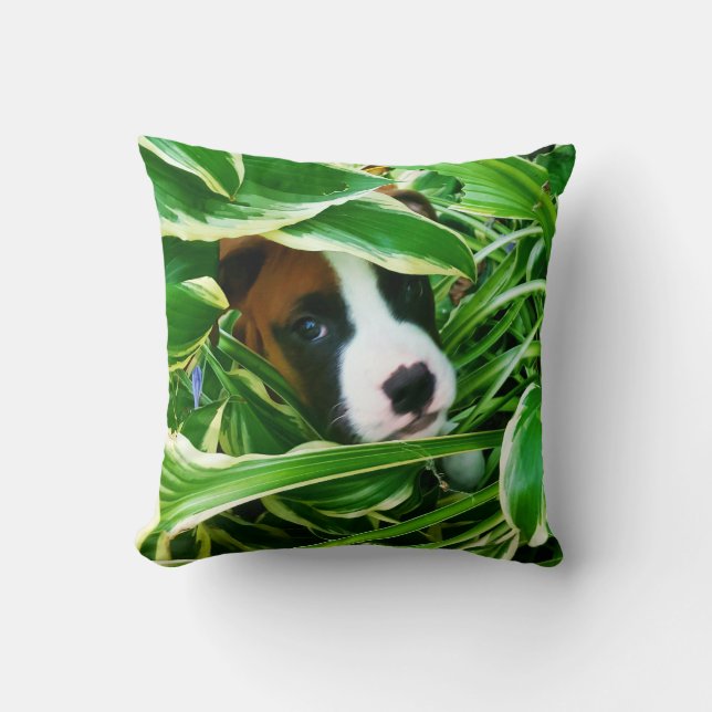 boxer pup - Brix  pillow (Front)