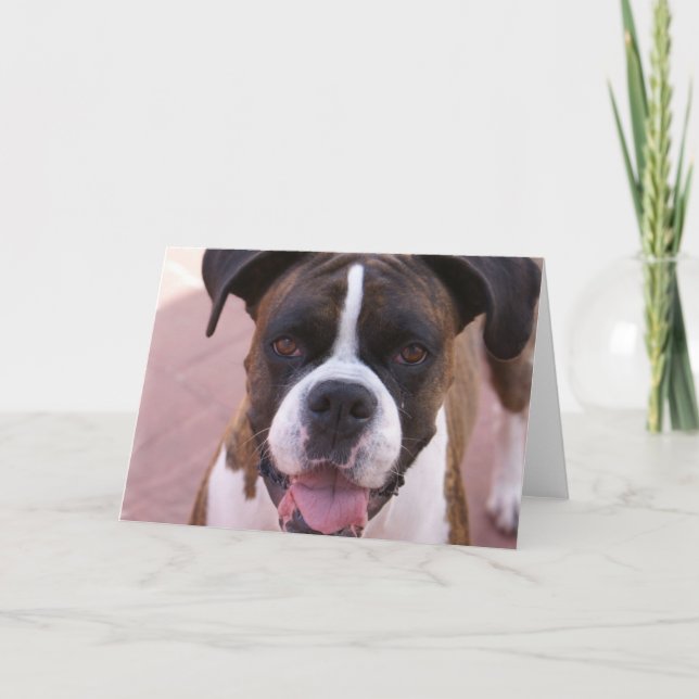 Boxer Pup Greeting Card (Front)