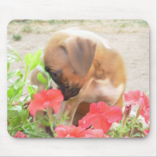 Boxer pup in Petunias mousepad