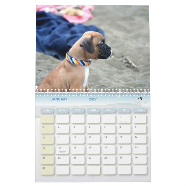 Boxer Puppies 2012 Calendar (Jan 2027)