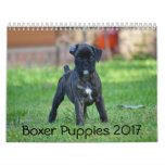 Boxer Puppies 2017 Calendar at Zazzle