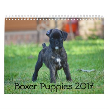 Boxer Puppies 2017 Calendar by WestCoastBoxerRescue at Zazzle