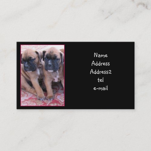 Boxer puppies business card