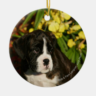 Boxer Puppies Ceramic Ornament