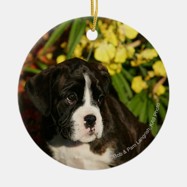 Boxer Puppies Ceramic Ornament (Front)