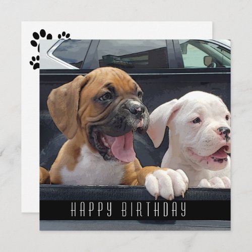 Boxer Puppies Happy Birthday Dogs Announcement