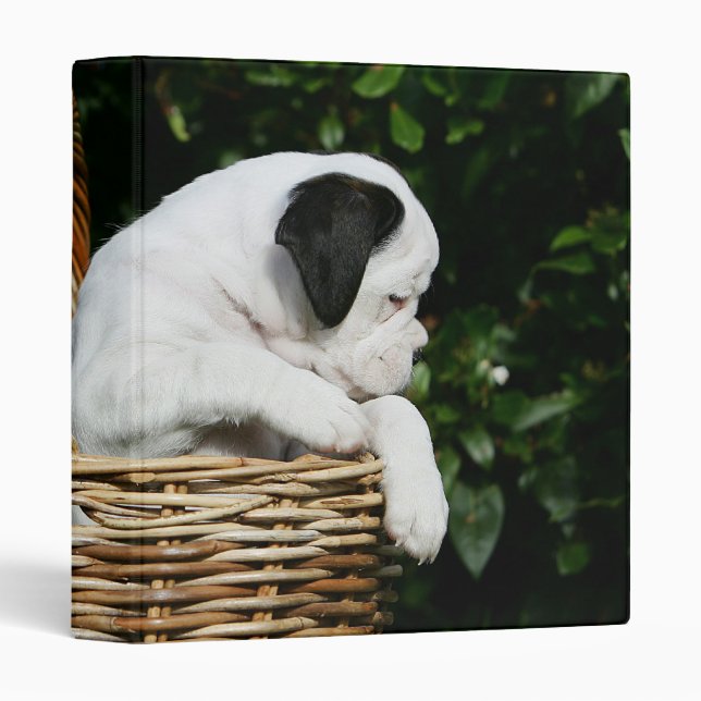 Boxer Puppies in Basket Binder (Front/Spine)