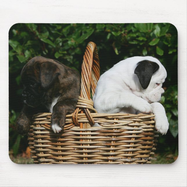 Boxer Puppies in Basket Mouse Pad (Front)