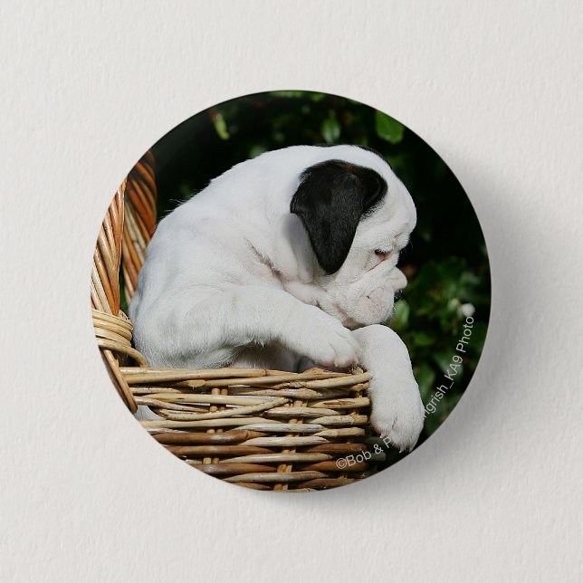 Boxer Puppies in Basket Pinback Button (Front)