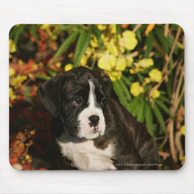 Boxer Puppies Mouse Pad (Front)