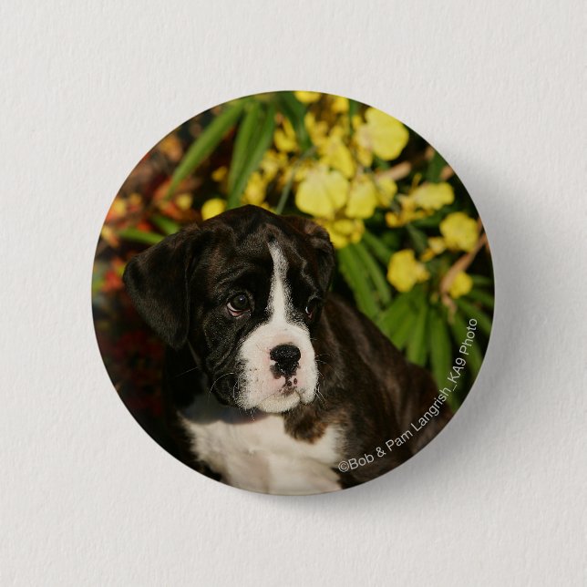 Boxer Puppies Pinback Button (Front)