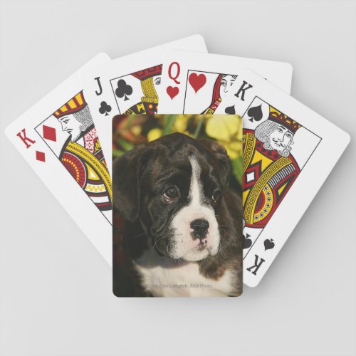 Boxer Puppies Poker Cards