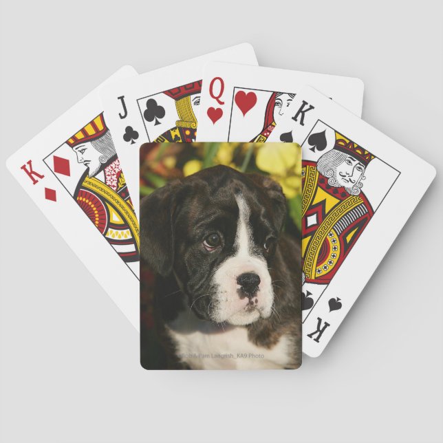 Boxer Puppies Poker Cards (Back)