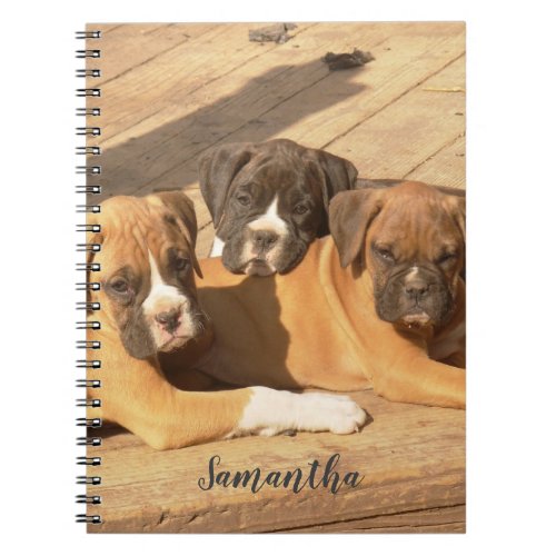 Boxer puppies spiral notebook