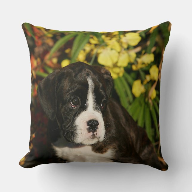Boxer Puppies Throw Pillow (Front)