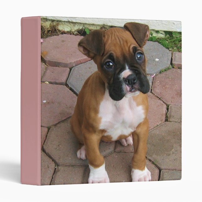 Boxer puppy binder (Front/Spine)