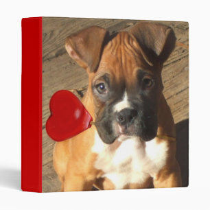 Boxer puppy binder