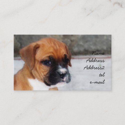 Boxer puppy business card