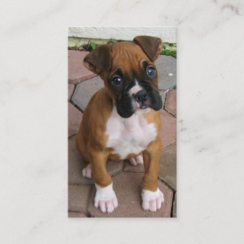 Boxer puppy business cards
