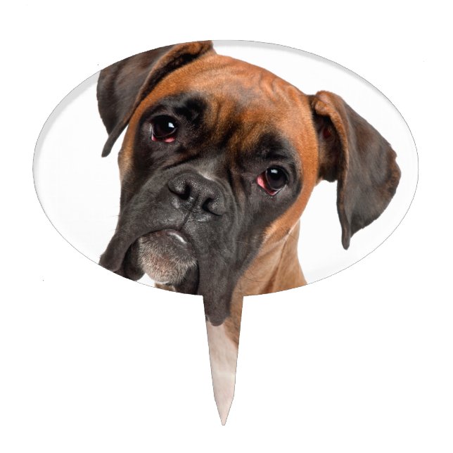 Boxer Puppy Cake Topper (Front)