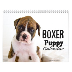 Boxer Puppy Calendar