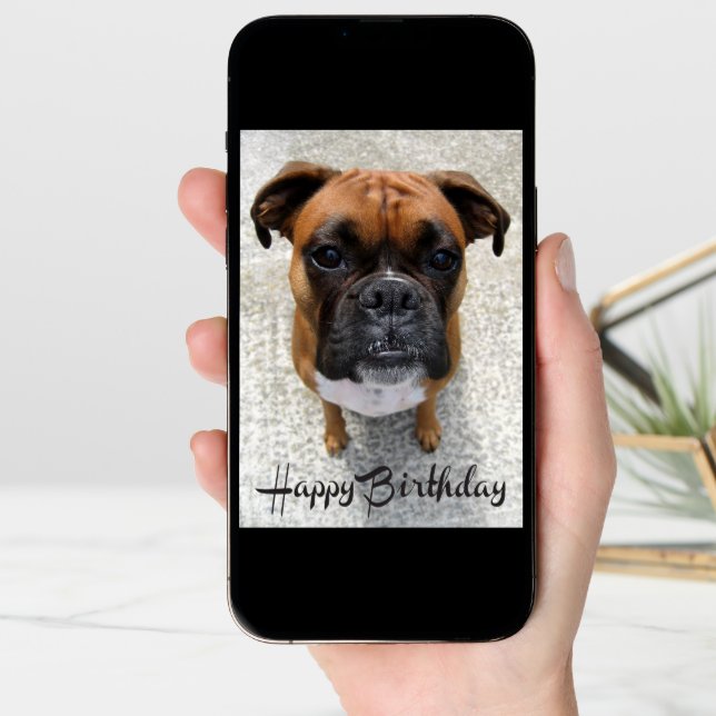 Boxer Puppy Dog  Happy Birthday Card  - Verse (Front Digital)