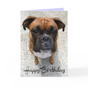 Boxer Puppy Dog  Happy Birthday Card  - Verse