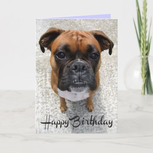 Boxer Puppy Dog  Happy Birthday Card  _ Verse