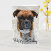 Boxer Puppy Dog  Happy Birthday Card  - Verse (Yellow Flower)