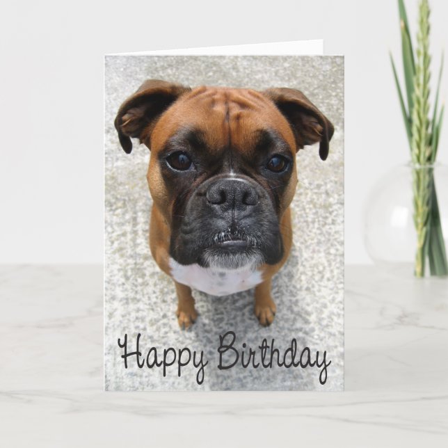 Boxer Puppy Dog  Happy Birthday Card  - Verse (Front)