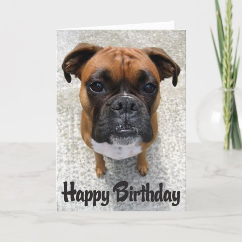 Boxer Puppy Dog  Happy Birthday Card  _ Verse