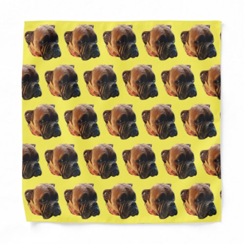 Boxer Puppy Dog Photo Custom Color Yellow Bandana