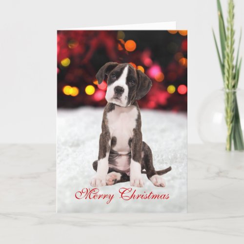 Boxer puppy dog snow custom Christmas Card