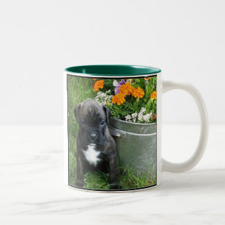 Boxer puppy Mug