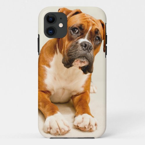 Boxer puppy on ivory cream backdrop iPhone 11 case