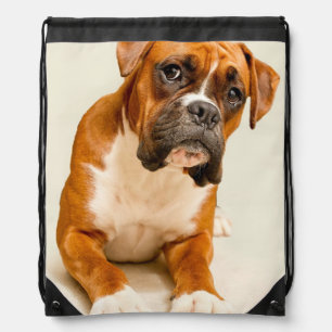 Boxer puppy on ivory cream backdrop. drawstring bag