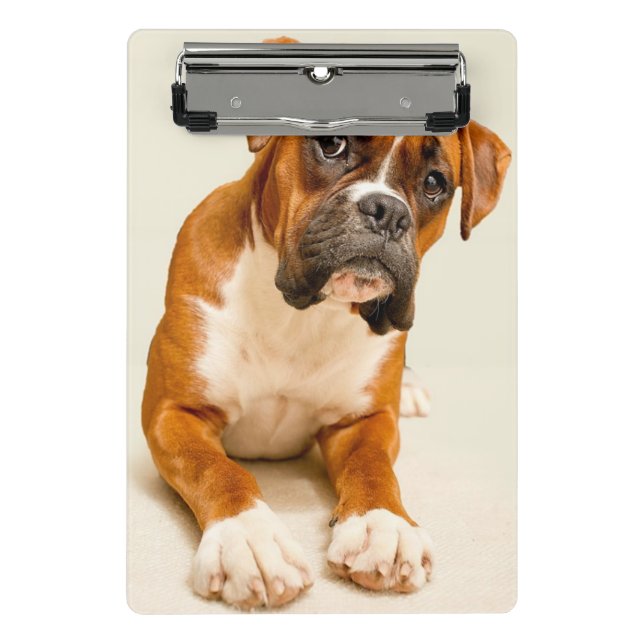 Boxer puppy on ivory cream backdrop. mini clipboard (Front)