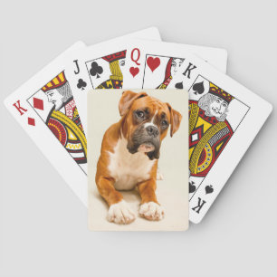 Boxer puppy on ivory cream backdrop. poker cards