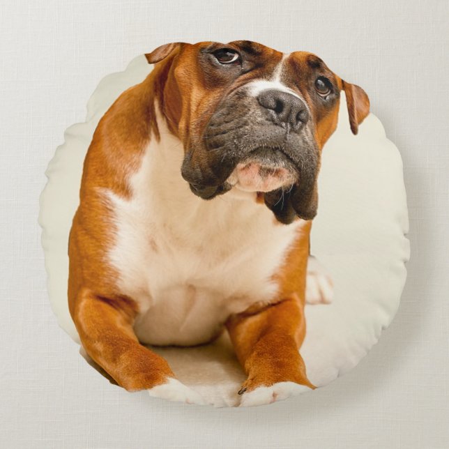 Boxer puppy on ivory cream backdrop. round pillow (Front)