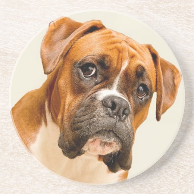 Boxer puppy on ivory cream backdrop. sandstone coaster (Front)