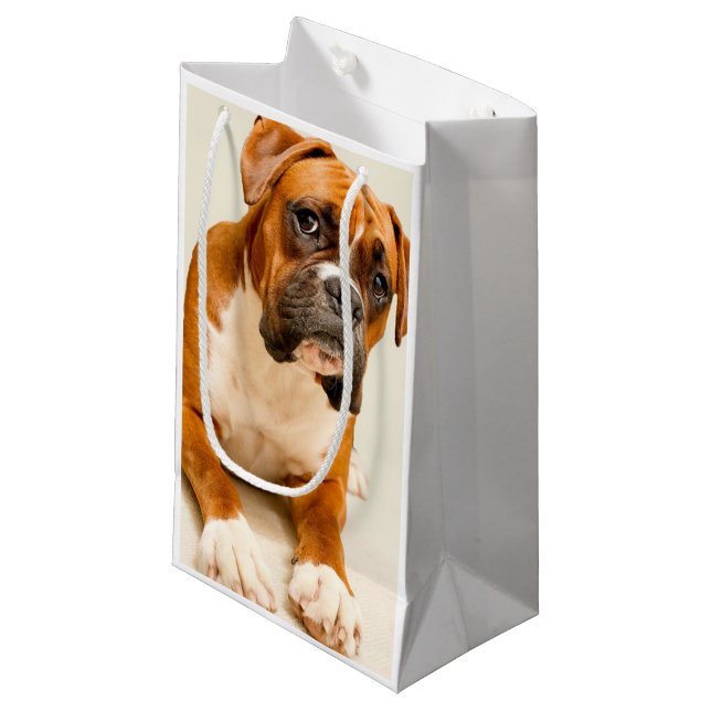 Boxer puppy on ivory cream backdrop. small gift bag (Front Angled)