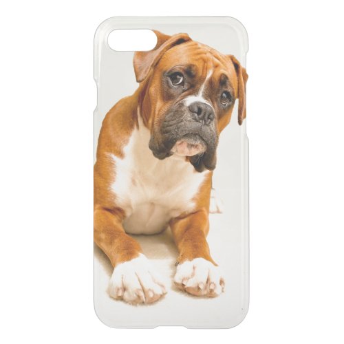 Boxer puppy on ivory cream backdrop iPhone SE87 case